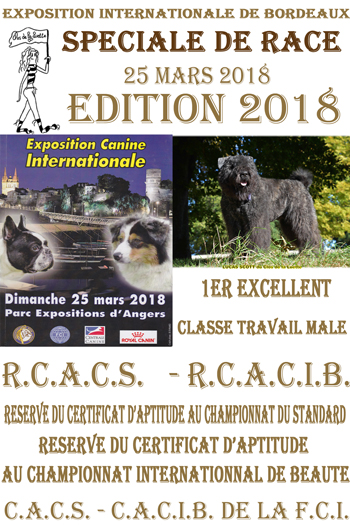 LUCAS Speciale ANGERS 2018 RCACS RCACIB